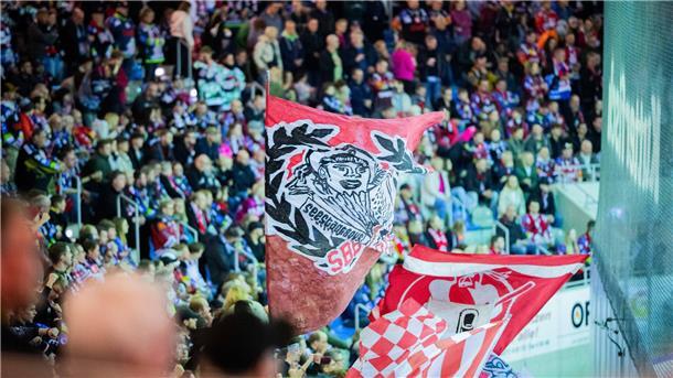 Pinguins sichern sich drei Matchpucks für den Einzug ins Playoff-Halbfinale Die Fans feierten noch lange nach dem Siegtor in der Halle und davor weiter.