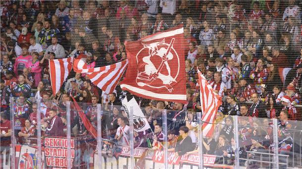 Pinguins lassen Bremerhaven vom Viertelfinale der Königsklasse träumen Die Fans standen wie ein siebter Mann hinter der Mannschaft und pushten sie zu Höchstleistungen.