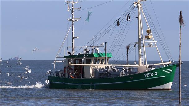 Bruns: Im Kampf gegen den Schlick an einem Strang ziehen Die Fedderwardersieler Krabbenfischer sind auf eine schiffbare Hafenzufahrt angewiesen. Das Zeitfenster, in dem sie ein- und auslaufen können, ist in den vergangenen Jahren kontinuierlich kleiner geworden.