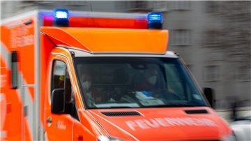 Die Feuerwehr konnte die Mutter und ihrer fünf Kinder retten (Symbolbild)