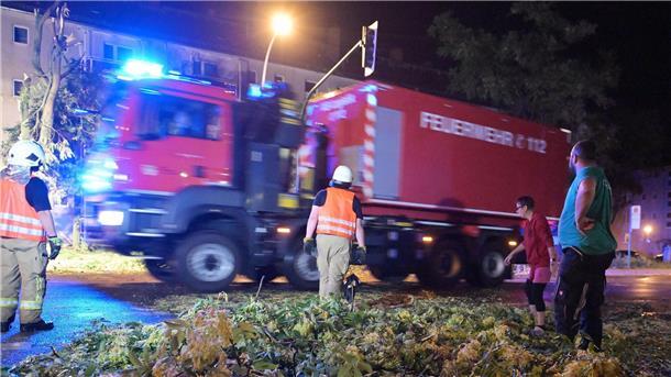 Gewittersturm entwurzelt dicke Bäume in Brandenburg Die Feuerwehr war nach dem starken Gewitter gefordert.