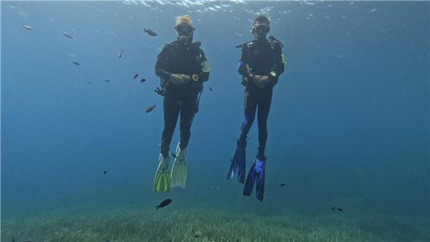 Ach du bist’s! Fische können Menschen unterscheiden Die Fische scheinen Taucher anhand von Farbmerkmalen ihrer Ausrüstung zu erkennen.
