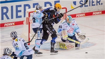 Pinguins trotzen allen Widrigkeiten und siegen beim Heimcomeback von Conrad Die Fischtown Pinguins empfangen die Dresdner Eislöwen.