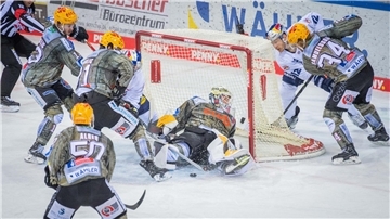 Die Fischtown Pinguins gehen in ihre achte DEL-Saison.