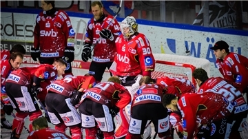 Fischtown Pinguins