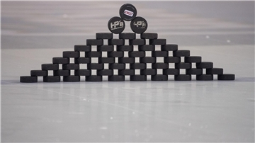 Die Fischtown Pinguins haben ebenso wie die anderen 13 Clubs der Deutschen Eishockey-Liga fristgerecht die Lizenzunterlagen eingereicht.