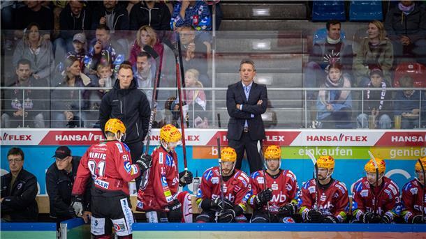 Bank der Pinguins