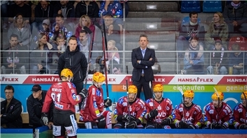 Bank der Pinguins