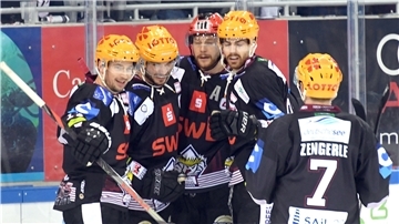 Die Fischtown Pinguins jubeln bei einem Spiel gegen die Eisbären Berlin über ein Tor.