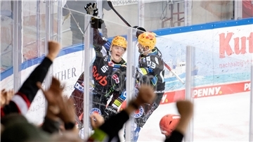 Fischtown Pinguins