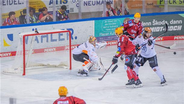 Die Fischtown Pinguins überzeugten gegen Wolfsburg.