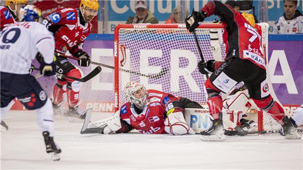 Pinguins: Mit Rückenwind aus der Champions League zurück in den Liga-Alltag Die Fischtown Pinguins wollen in der DEL nach zuletzt zwei Niederlagen zurück in die Erfolgsspur.