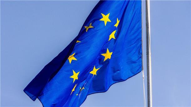 Die Flagge der Europäischen Union weht im Wind.