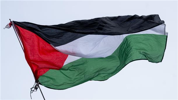 Berlin: Rund 680 Verfahren zum Nahost-Konflikt Die Flagge von Palästina wird bei einer propalästinensischen Kundgebung geschwenkt. Bei derartigen Kundgebungen kam es vor allem in den ersten Wochen nach dem Massaker immer wieder zu Zusammenstößen mit der Polizei.