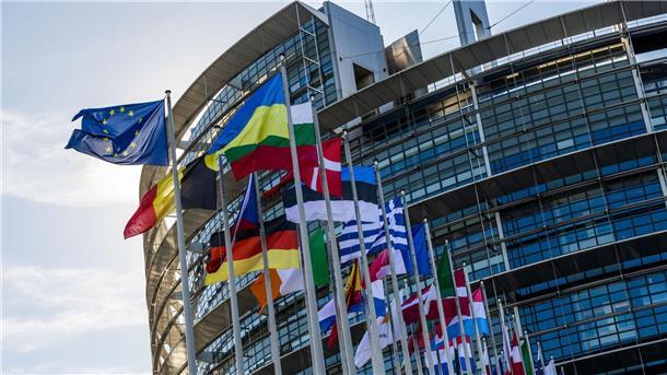 Wie viel Macht hat das EU-Parlament? Die Flaggen der Europäischen Union, der Ukraine und der Mitgliedsstaaten der EU vor dem Gebäude des Europäischen Parlaments in Straßburg.
