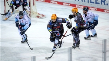 Pinguins