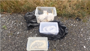 Die gefundenen Tiere waren in Kisten, Müllsäcken und Kissenbezügen verpackt.