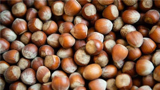 Weniger Haselnüsse aus Italien: Wird Nutella teurer? Die Haselsnussernte ist in Italien so schlecht ausgefallen wie seit Jahrzehnten nicht mehr. (Archivbild)