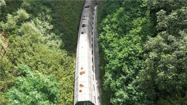 Liste mit möglichen Streckenreaktivierungen wird länger Die Hermann-Hesse-Bahn bei Calw ist ein jüngeres Beispiel für die Reaktivierung alter Bahntrassen. (Archivfoto)