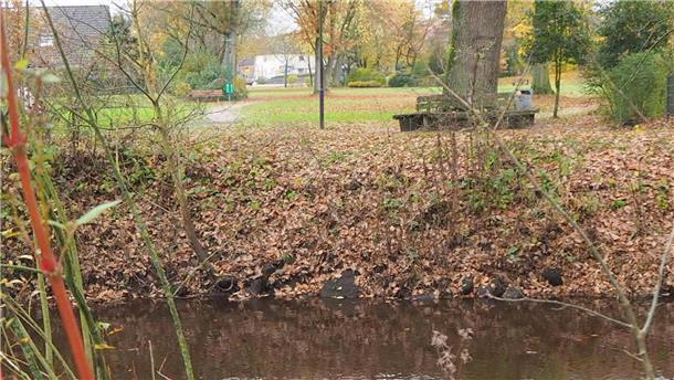 Heeslinger Park soll ein Ort für Naturerlebnis, Spiel und Spaß werden Im Vordergrund Wasser und im Hintergrund eine Rasenfläche und Bäume.