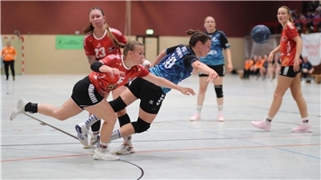Handballspiel der Frauen der HSGV Unterweser
