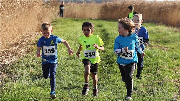 Crosslauf in Tossens