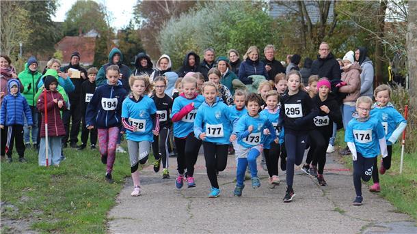 Crosslauf-Kreismeisterschaften