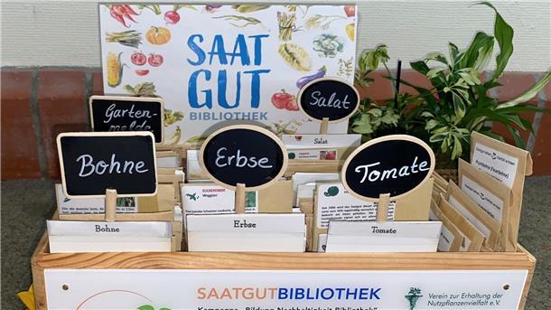 Eine Saatgutbibliothek in einer Holzbox mit verschiedenen Saatguttütchen, die mit handgeschriebenen Tafeln beschriftet sind. Die Kategorien umfassen „Bohne“, „Erbse“, „Tomate“, „Salat“ und „Gartenmelde“. Im Hintergrund ist ein bunt gestaltetes Schild mit der Aufschrift „Saatgut Bibliothek“ sowie einige grüne Pflanzen zu sehen.