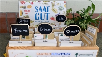 Eine Saatgutbibliothek in einer Holzbox mit verschiedenen Saatguttütchen, die mit handgeschriebenen Tafeln beschriftet sind. Die Kategorien umfassen „Bohne“, „Erbse“, „Tomate“, „Salat“ und „Gartenmelde“. Im Hintergrund ist ein bunt gestaltetes Schild mit der Aufschrift „Saatgut Bibliothek“ sowie einige grüne Pflanzen zu sehen.