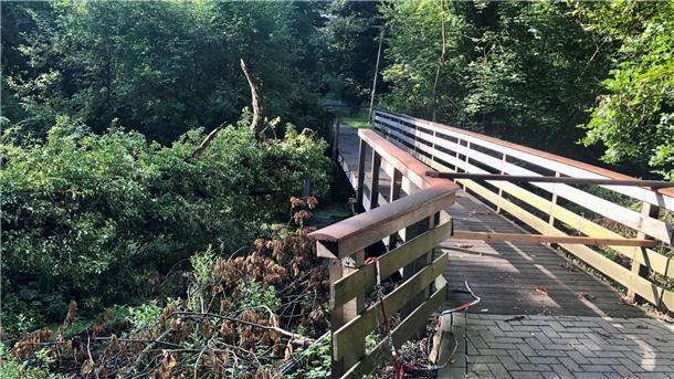 Zwei Monate nach Sturmschaden: Brücke im Auepark noch immer gesperrt Die kleine Fußgänger- und Fahrradbrücke im Auepark wurde vor gut fünf Wochen von einer umgestürzten Weide beschädigt und ist seitdem gesperrt.