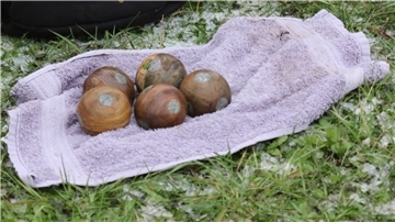 Klootkugeln