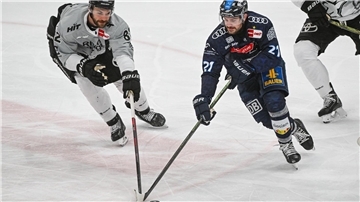 Die Kölner Haie mit Alexandre Grenier (l) verpassten gegen den ERC Ingolstadt um Wayne Simpson (r) den Einzug ins Finale nach Spiel fünf.