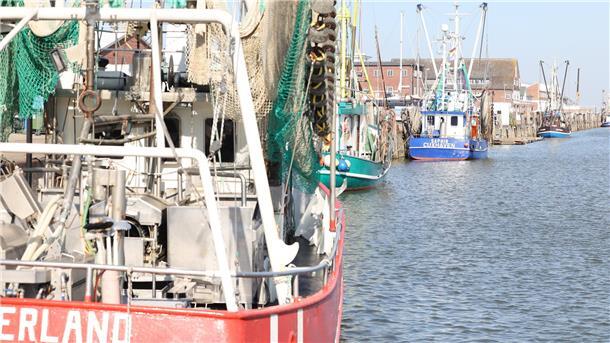 Bei dieser Konferenz geht es um Existenzen Krabbenkutter im Alten Fischereihafen in Cuxhaven