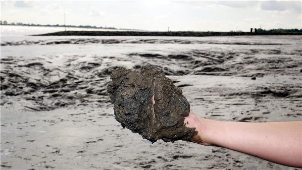 Die Kreistagsmehrheit fordert die „Schaffung einer Alternative für den durch Verschlickung verloren gegangenen Strand in Nordenham“.
