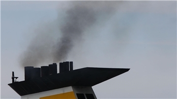Die Kreuzfahrtbranche kommt beim Klimaschutz kaum voran.