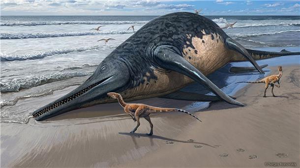 Mehr als 25 Meter: Im Meer lebte einst ein gewaltiges Reptil Die künstlerische Darstellung zeigt einen angeschwemmten Ichthyotitan severnensis-Kadaver am Strand.