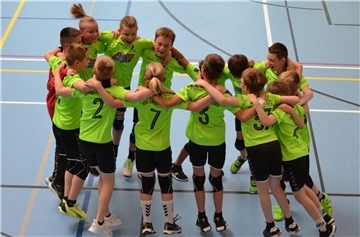HSG Unterweser männliche Jugend E