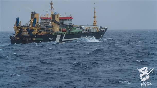 Meeresschützer auf der „John Paul DeJoria“: Tine will wieder kommen Die Meeresschützer dokumentieren, was der Supertrawler macht.