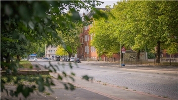 Straße Bäume
