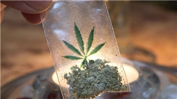 Die Niederlande starten ein Experiment mit dem Handel mit legal angebautem Marihuana.
