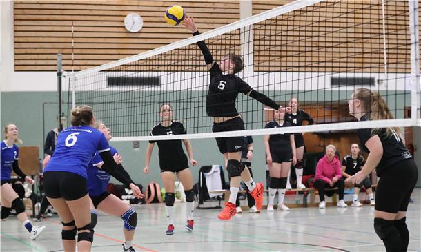 SV Nordenham Volleyball