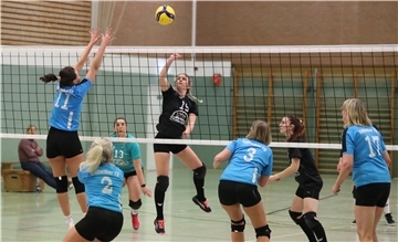 SV Nordenham Elsflether TB Volleyball