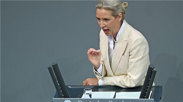 „Üble Nachrede“: Merz wehrt sich gegen Weidels Lügen-Vorwurf Die Oppositionsführerin Weidel attackiert den Kanzler hart in ihrer Rede