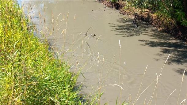 Verfärbung der Oste: Ergebnisse der Laboruntersuchung liegen vor Die Oste bei Weertzen am 13. August. Bentonit trübt das Wasser.