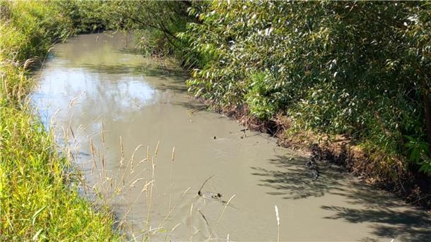 Die Oste bei Weertzen am 13. August. Bentonit trübt das Wasser. 