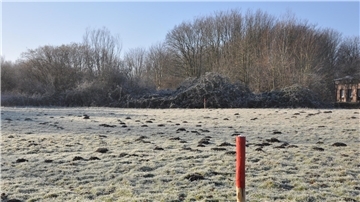 Die Pfeile markieren, wo die Schneise geschlagen werden soll.