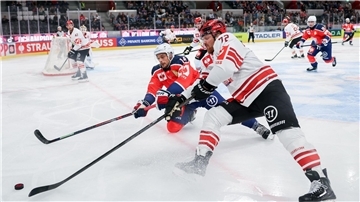 Die Pinguins Bremerhaven in der Champions League.
