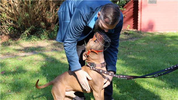 Mann und Hund mit Maulkorb