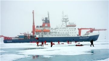 das Forschungsschif Polarstern