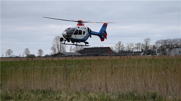 Ein Hubschrauber fliegt dicht über einer Weide in Butjadingen. 
